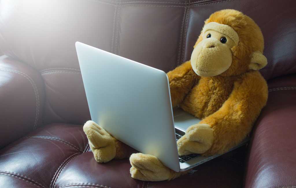 Plush monkey toy with a laptop.