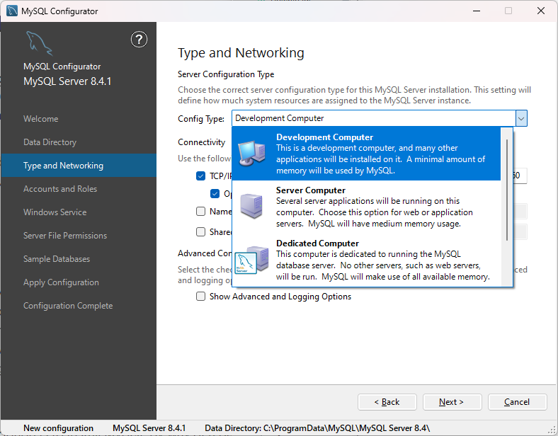 MySQL installer for Microsoft Windows - Choosing a configuration type